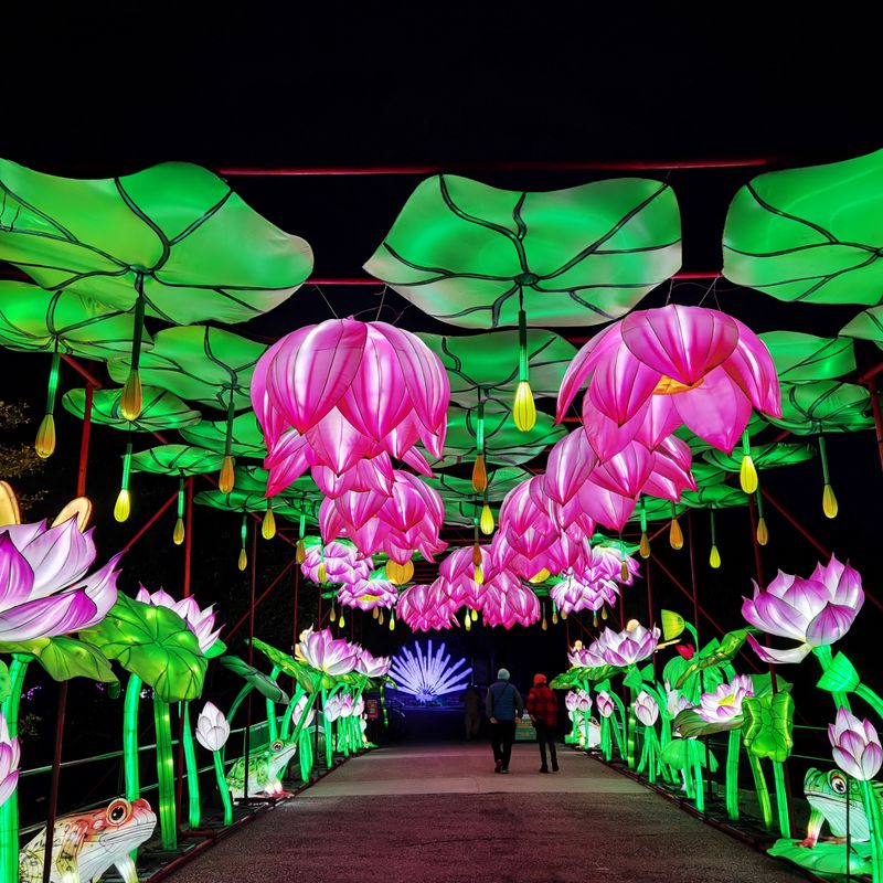 Glow Wild Lantern Festival At Beardsley Zoo