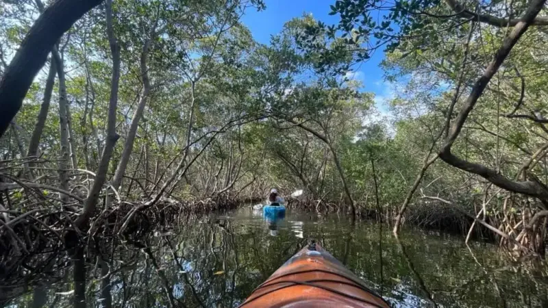Weedon Island Preserve (St. Petersburg)