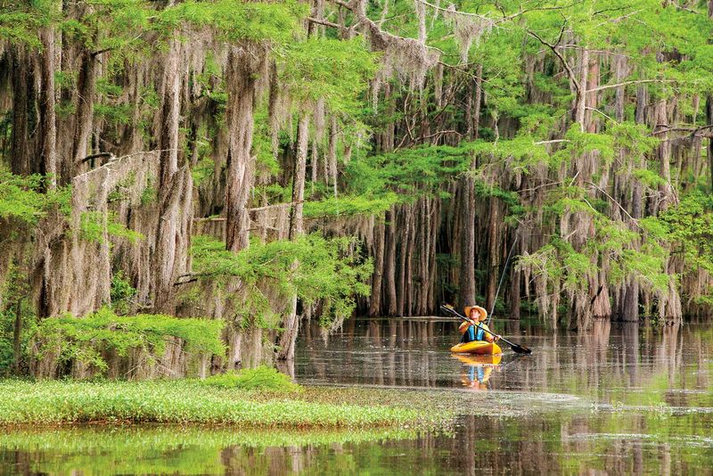 Caddo Lake State Park