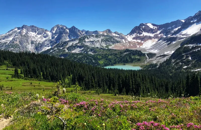 Camp at Glacier Peak Wilderness Day Hike Base