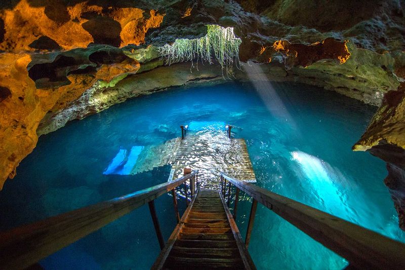Devil's Den Prehistoric Spring, Williston