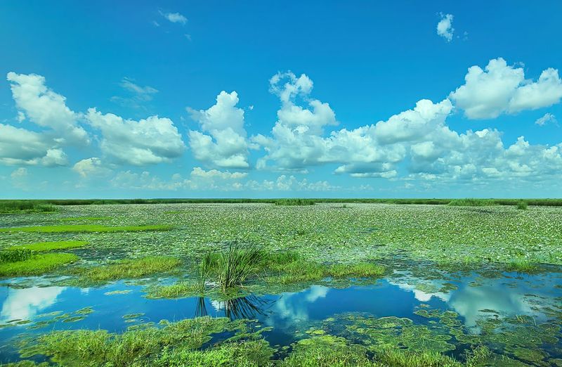 Jocelyn Nungaray National Wildlife Refuge