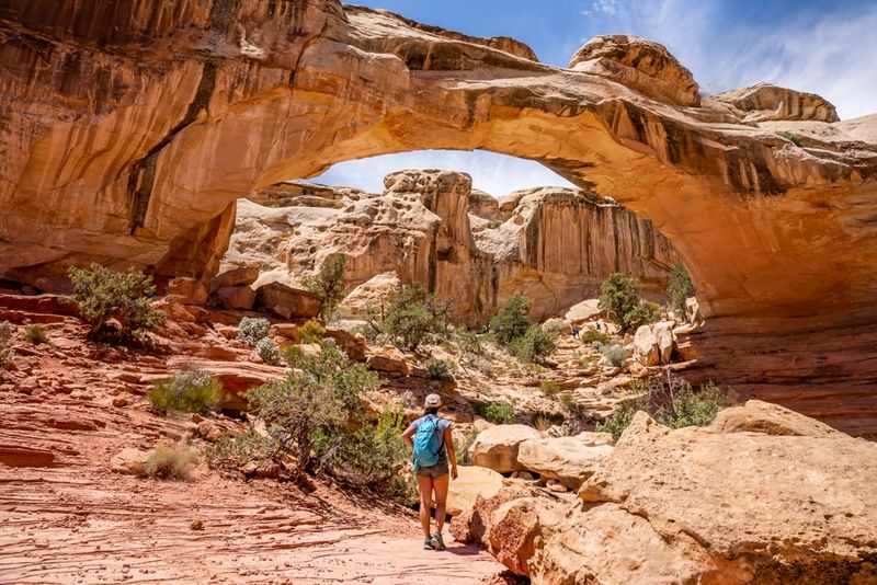 Hickman Bridge (Capitol Reef National Park)