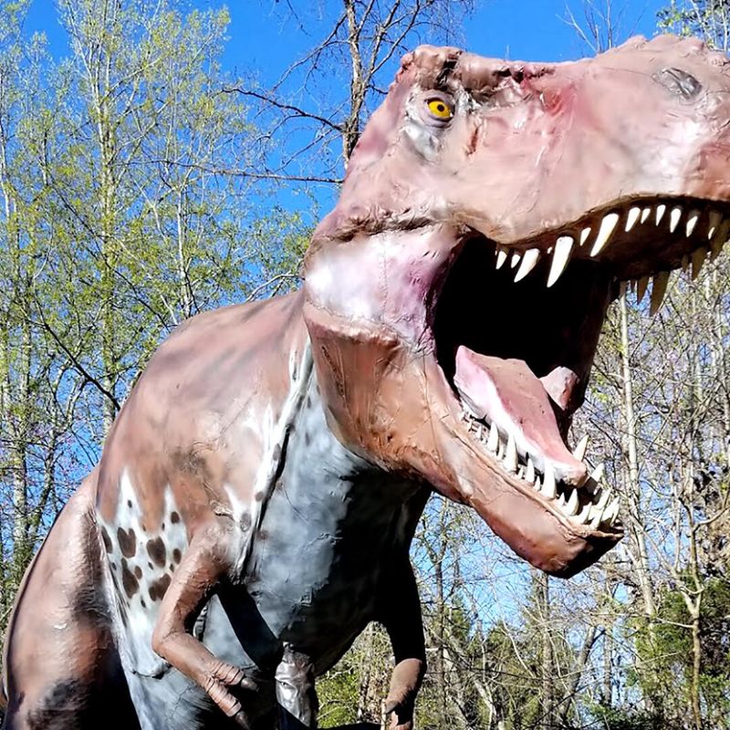 Backyard Terrors Dinosaur Park Near Bluff City