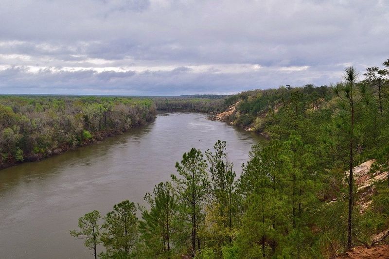 Apalachicola Bluffs And Ravines Preserve (Bristol)