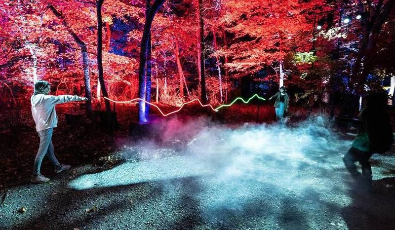 Experience Forest of Shadows in Seattle