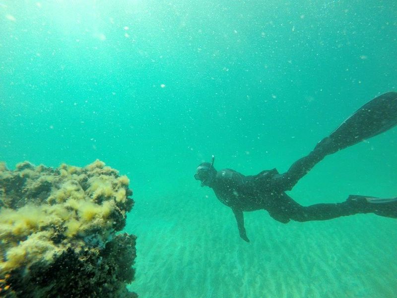 Navarre Beach Marine Sanctuary, Santa Rosa County