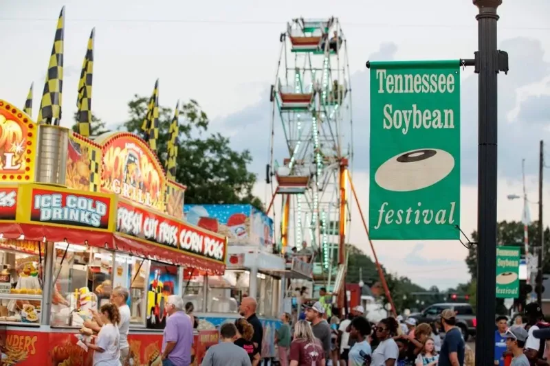 Bustling Soybean Street Fair