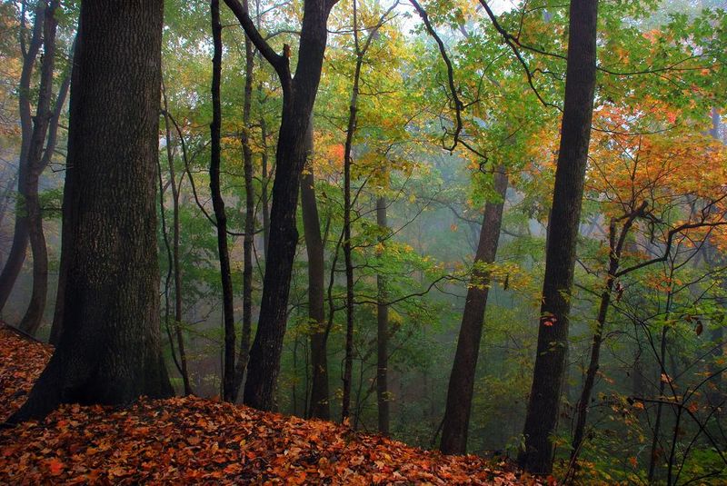 Spectacular Leaf-Peeping Trails