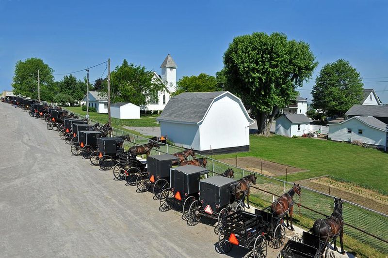 Mt. Hope's Auction Day Feast