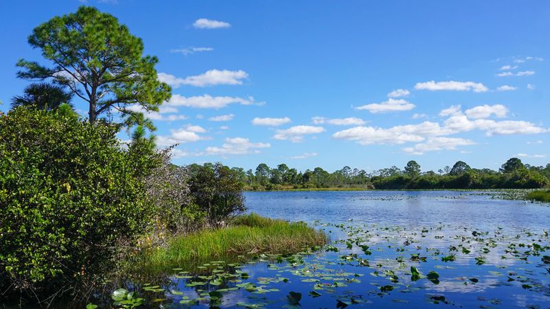 Loxahatchee Slough Natural Area (Palm Beach Gardens)