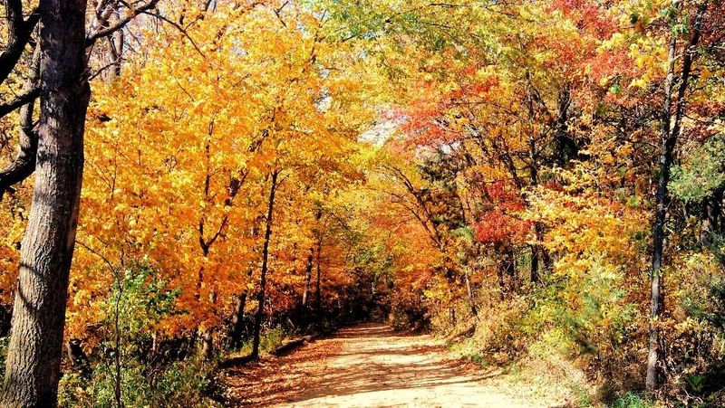 Gandy Dancer Trail's Autumn Spectacle