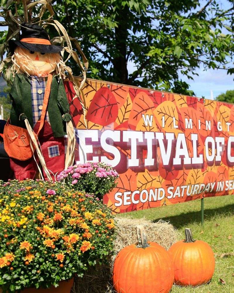 Fall Fun in Full Bloom: Celebrate 20 Years of Festival Magic